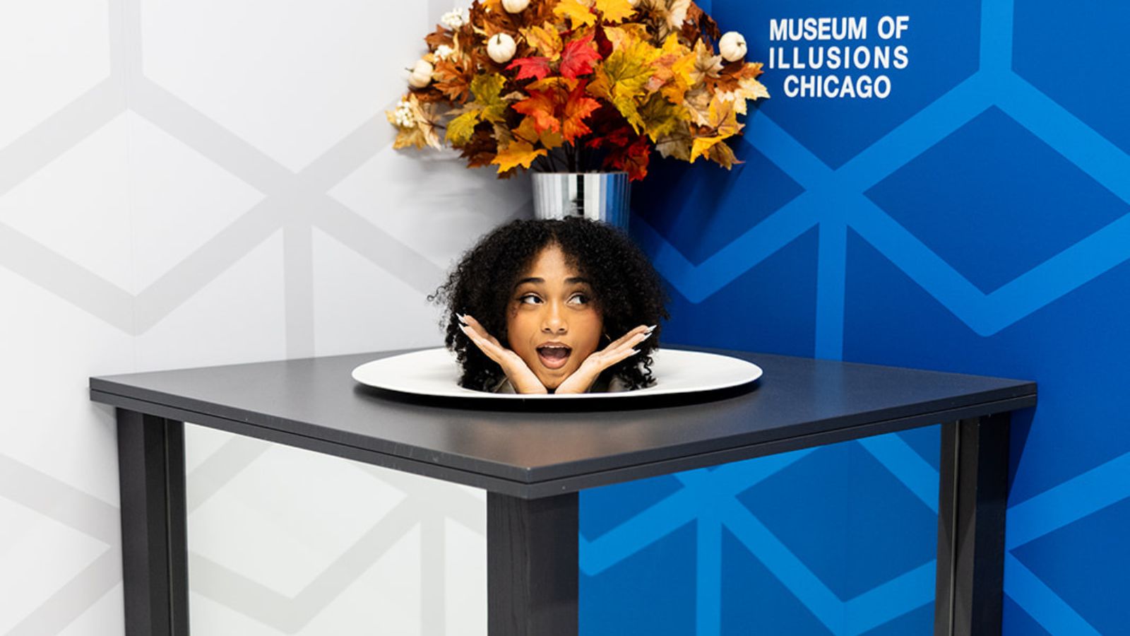 installations-museum-of-illusions-chicago
