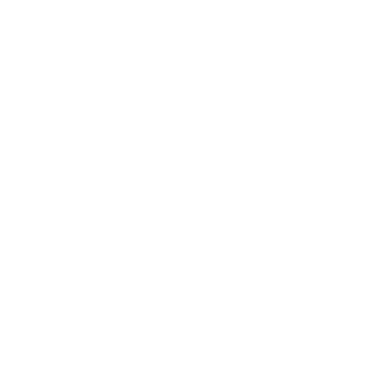icons_fundraiser_fill_white